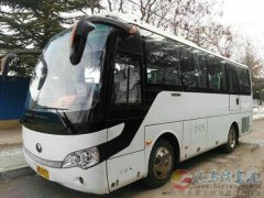 急招會(huì)計(jì)客車(chē)司機(jī)